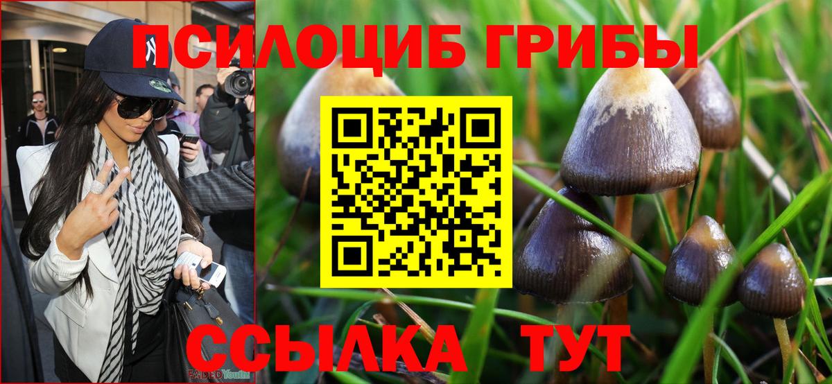 Псилоцибиновые грибы MAGIC MUSHROOMS  Вход с VPN  Полевской 